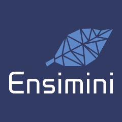 Ensimini Financial Services